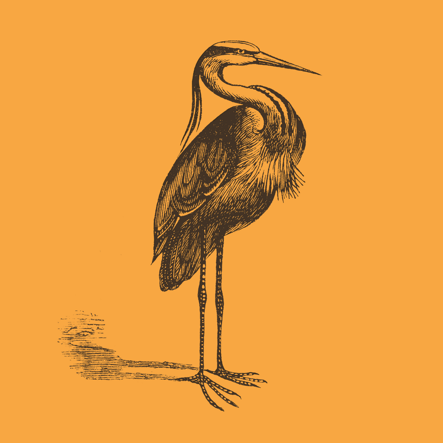 The Heron Journal - Sun