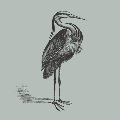 The Heron Journal - Heron grey