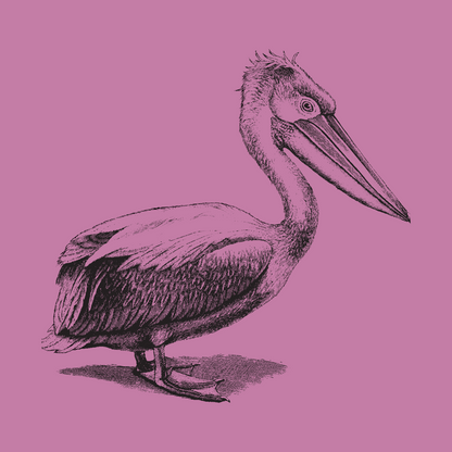 The Pelican - Mustard